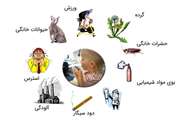 روز جهانی آسم و آلرژی