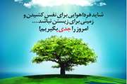 هفته هوای پاک
