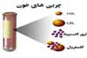 باورهای غلط درباره چربی خون